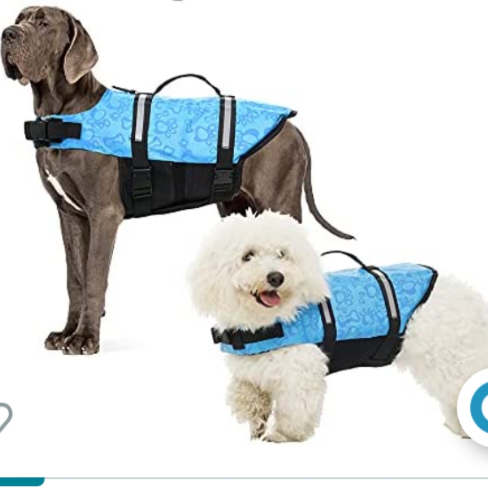 S Dogs life Jacket